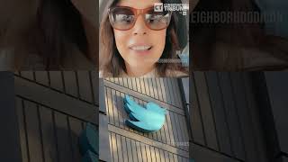 Left Goes Into Meltdown Mode as Musk Takes Over Twitter