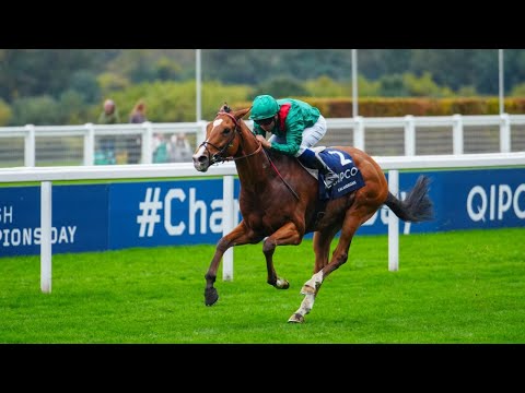 Calandagan stamps class in Champion Stakes | Racing TV