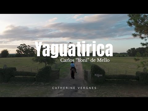 Catherine Vergnes - Yaguatirica