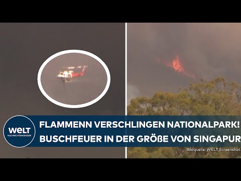 BUSCHFEUER IN AUSTRALIEN: Flammenmeer frisst sich durch Nationalpark – Evakuierungen laufen
