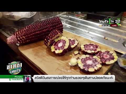 56 ปีในฐานะที่เป็นความอ่อนแอ ทั้งหมดของความอ่อนแออินทรีย์