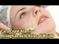How To Remove Thin Mustaches On Women How To Remove Fine Facial Hair