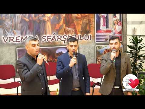 Tulpan Brothers - Îți preadu întreaga viață