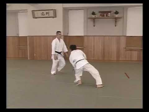 Yoshinkan Aikido - Shomen Uchi Jiyu Waza