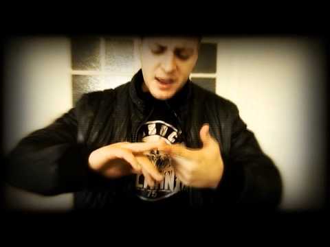 Don Tigar Freestyle Assoce Balkanic