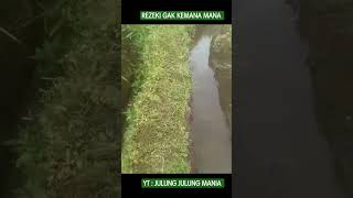 Download lagu MANTUL ADA REZEKI NOMPLOK, MANCING BELUT MALAH MENEMUKAN BELUT - BAG 12 #shorts mp3