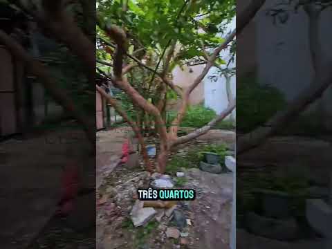 Casa à venda em Rio de Janeiro, Engenho de Dentro, com 3 quartos, 90m²