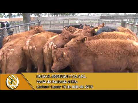 16-07-18 Venta de Gordo - Hugo R. Aristegui y Cía. S.R.L. - Cacharí