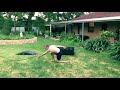 I Learnt A Scoot Cork
