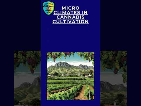 Inside South Africa’s Unique Cannabis Micro Climates