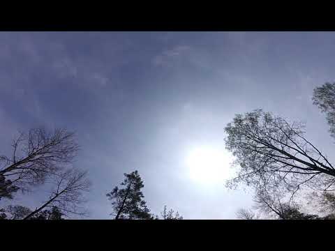 malsättra-hglrc-batman-220-20190518