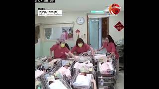ভূমিকম্পে তাইওয়ানের হাসপাতালে সদ্য জন্মানো শিশুদের রক্ষার চেষ্টা | Earthquake | Taiwan | Channel 24