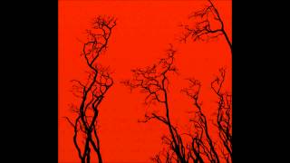 Jakob   Safety in Numbers