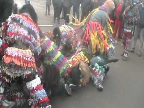 turca si ursu de la brodoc 2012