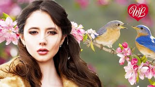 У ЛЮБВИ СВОИ ЗАКОНЫ ♥ ЗАЖИГАТЕЛЬНАЯ ДИСКОТЕКА - ПОПСА ТАНЦУЕТ WLV ♥  ♥ RUSSISCHE MUSIK Russian Music