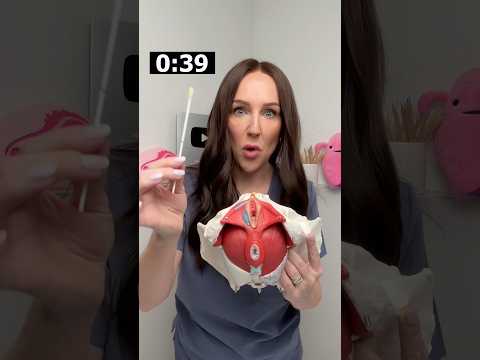 Streptokokken der Gruppe B + Schwangerschaft! #werdendeMama #Schwangerschaftsvorsorge #Lebeninder...