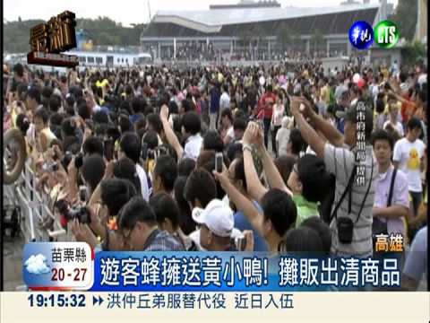 黃小鴨不要走... 高雄女童哭紅眼