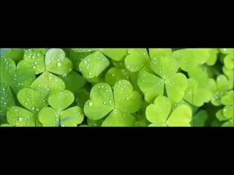 download lagu mp3 mp4 Free Facebook Cover Photos For St Patricks Day, download lagu Free Facebook Cover Photos For St Patricks Day gratis, unduh video klip Free Facebook Cover Photos For St Patricks Day