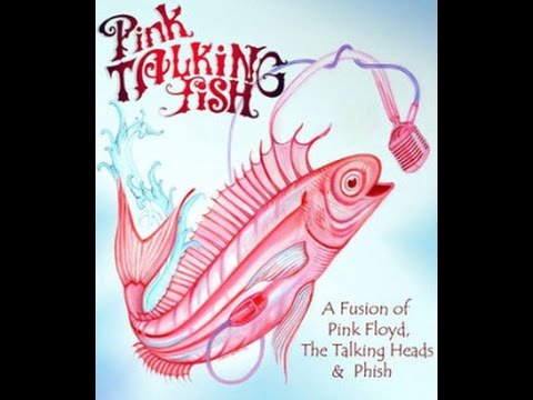 Pink Talking Fish - Full Set - The Funky Biscuit, 12-12-2014