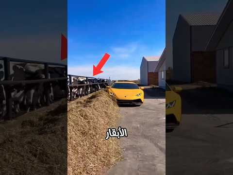 مزارع كسول يستخدم لامبورغيني كجرّار ويصدم الجميع بما فعله #ترند #سيارات #ضحك #سيارة #shorts