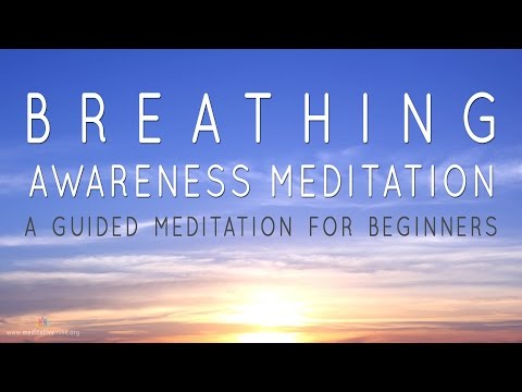 Breath Awareness | Guided Meditation for Beginners | Reduce