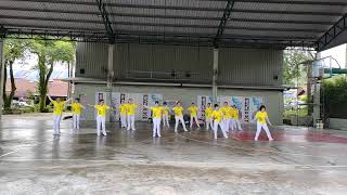 柔力球一路生花