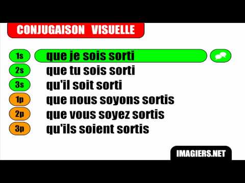 IMPARARE IL FRANCESE = VERBE = Sortir = Subjonctif Passé
