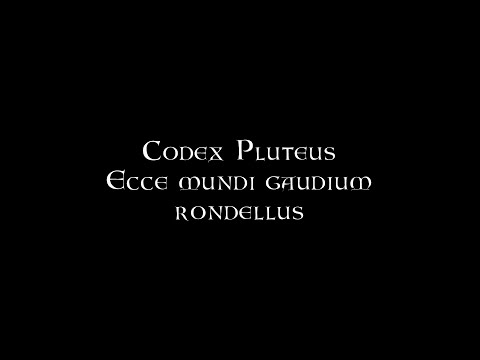 Pluteus 29.1 - Ecce mundi gaudium