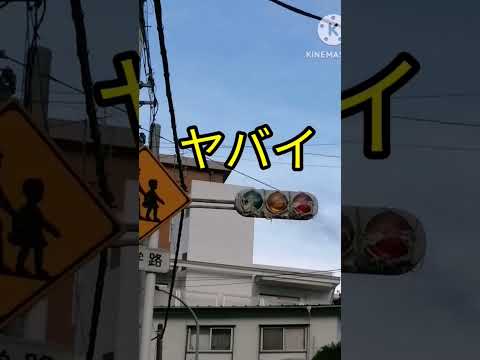 信号機の隠しボタン:この秘密の機能を知らない人も多い