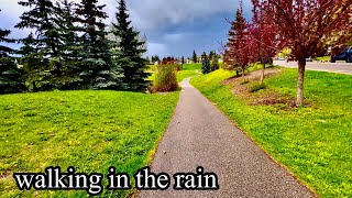 Walking in the Rain:Calgary, Alberta 4K