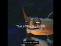 Kungfu Panda Emotional Motivation Kungfu Panda Kungfu Motivation Motivational Life