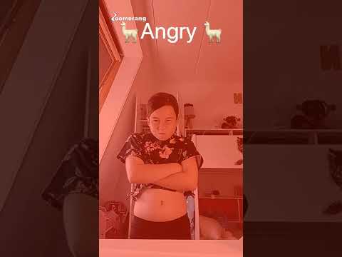 lama video (probeer niet te lachen)