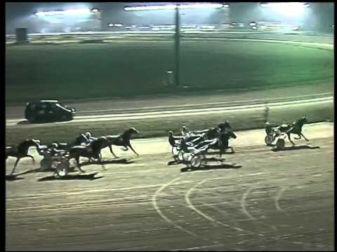 Trotto 30/10/2014 - 7° corsa