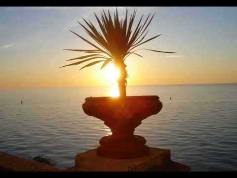 Didn't You Know lyrics