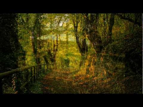 Waldszenen - R. Schumann