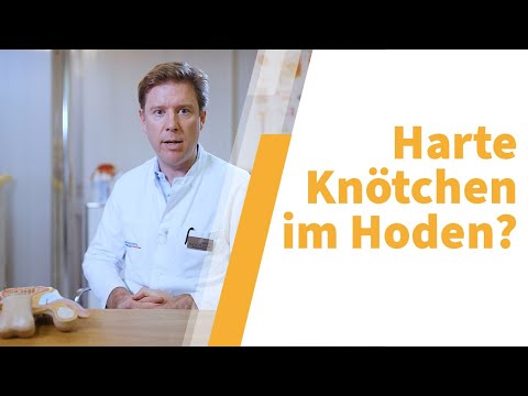 Hodenkrebs: Selbstcheck, Diagnostik, Therapie, Heilungschancen