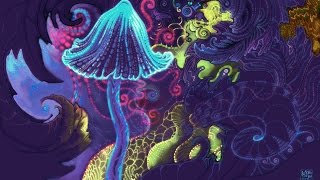 Infected Mushroom - Mush Mushi [Visualization]