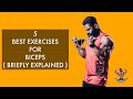 My Favourite 5 Exercises For Biceps