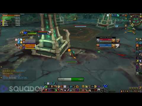 Feral druid 2v2, 2.5k exp - WoW: Shadowlands 9.2.5