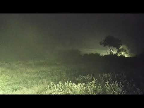 Djuma: Sights and sounds including heavy rain - 03:19 - 03/20/21