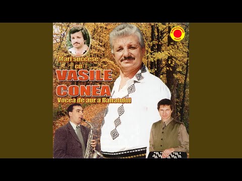 Cate rele-s pe pamant