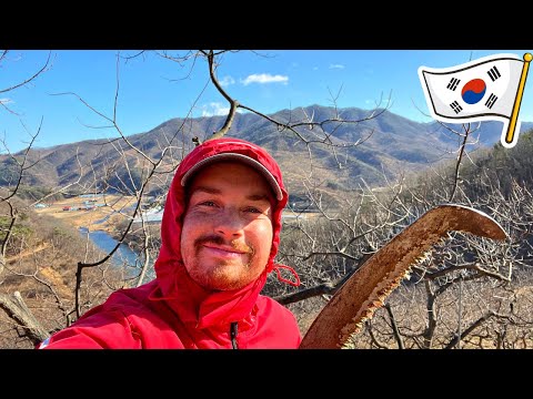 10 Days Living at a Korean Chestnut Farm