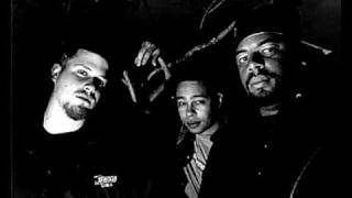 Company flow - Lune TNS