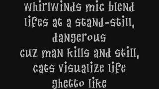 THP presents &#39;&#39;iron galaxy&#39;&#39; by Cannibal Ox.flv