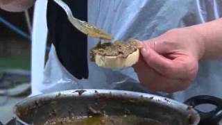 Speciale Sagra della Pastasciutta 2010