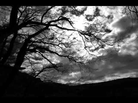 Mark Broom, Ben Sims & Vincent Davis - Pub Rock