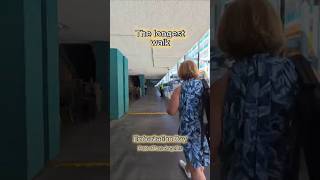 Be honest… why is embarkation day always a full walking tour first? 🚢😂This one hit different 😮‍💨