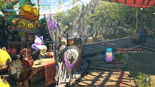 [MHWilds]自分記録用270