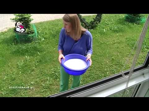 Do tego, co lekarz zająć wypadanie włosów Maska do włosów z sekcji z żółtka