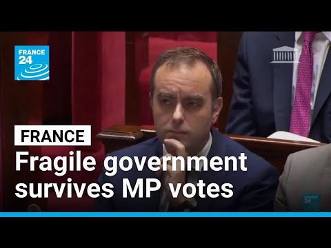 French government survives two no-confidence votes but remains fragile • FRANCE 24 English